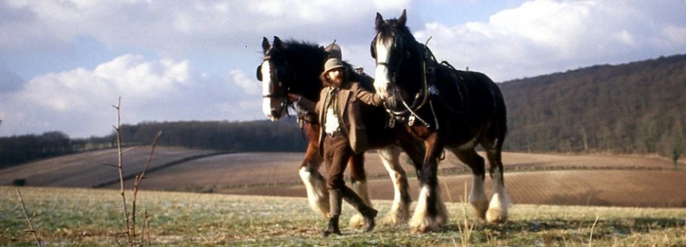 Jethro Tull преиздават албума Heavy Horses за 40-тата му годишнина